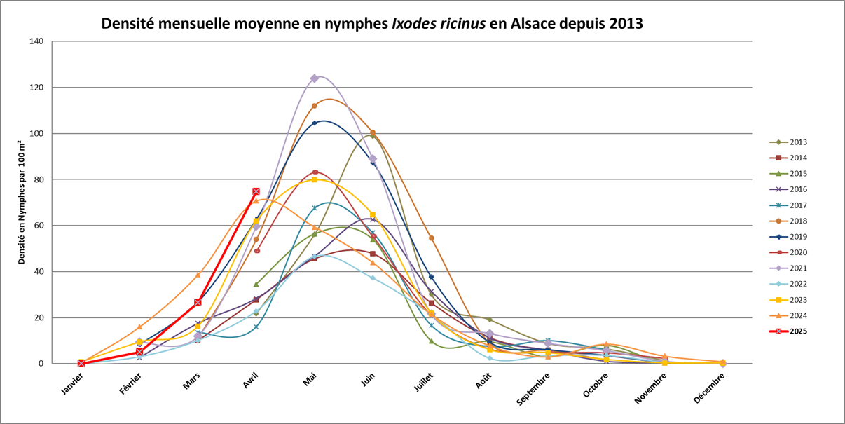 schéma nymphes borrelia