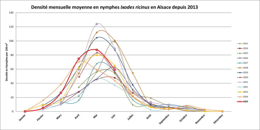 schema_nymphes borrelia
