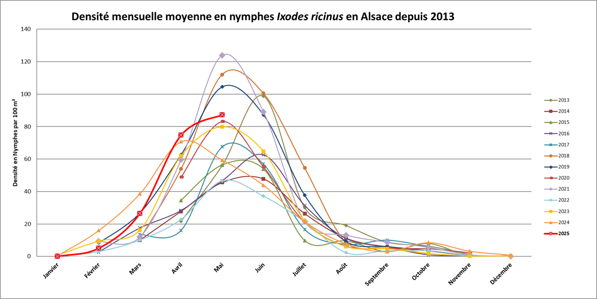 schéma nymphes borrelia