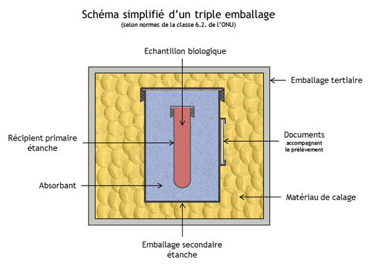 Schéma simplifié de triple emballage