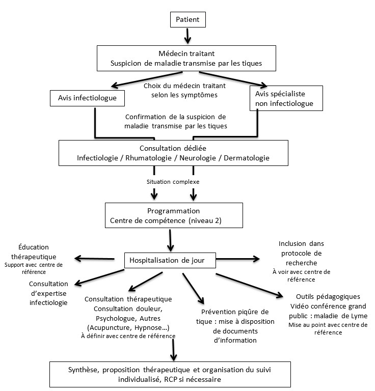 Organisation MVT